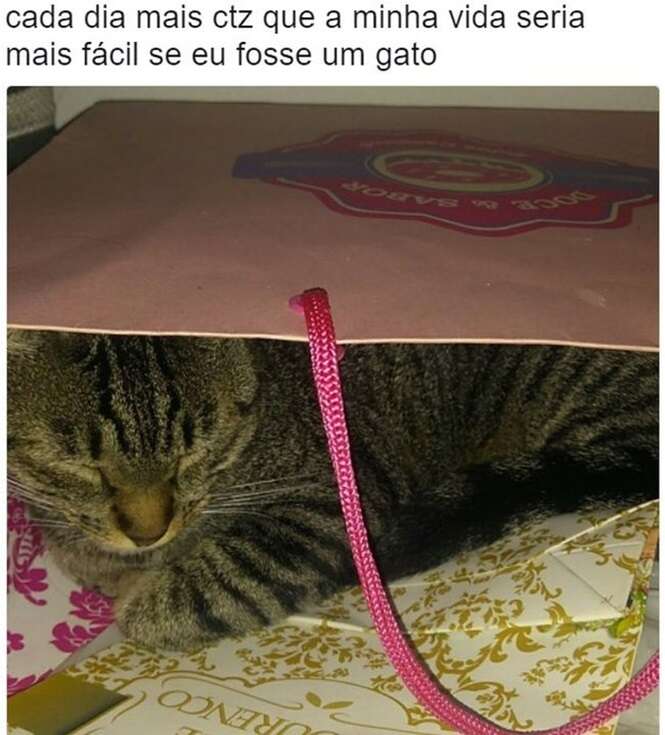 Foto: Tudo Interessante