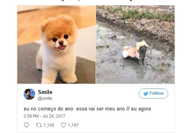 Tuítes que sintetizam suas expectativas para este ano e a realidade do momento