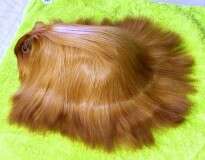 10 porquinhos-da-índia com pelagens das mais interessantes que você já viu