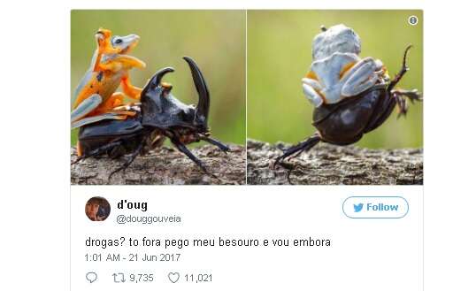 Os tuítes mais hilários do mês de junho deste ano