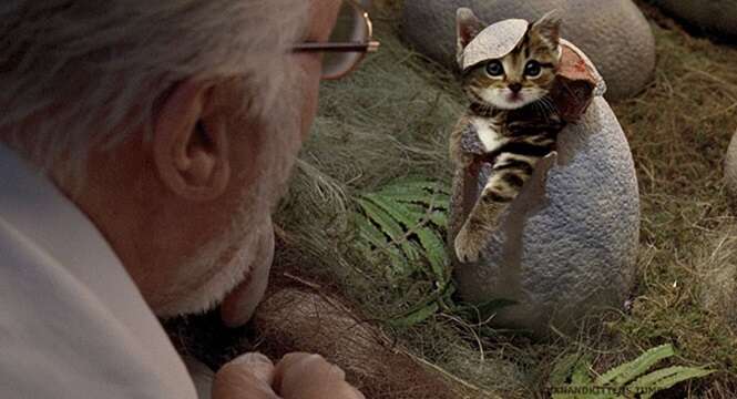 Alguém substituiu dinossauros de Jurassic Park por gatos, e o resultado é hilário