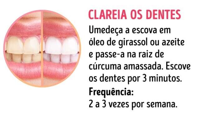Foto: Incrivel.club