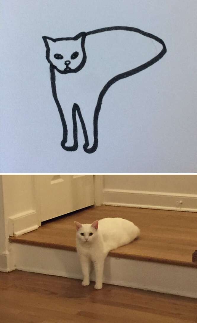 Foto: Poorly Cat Draw