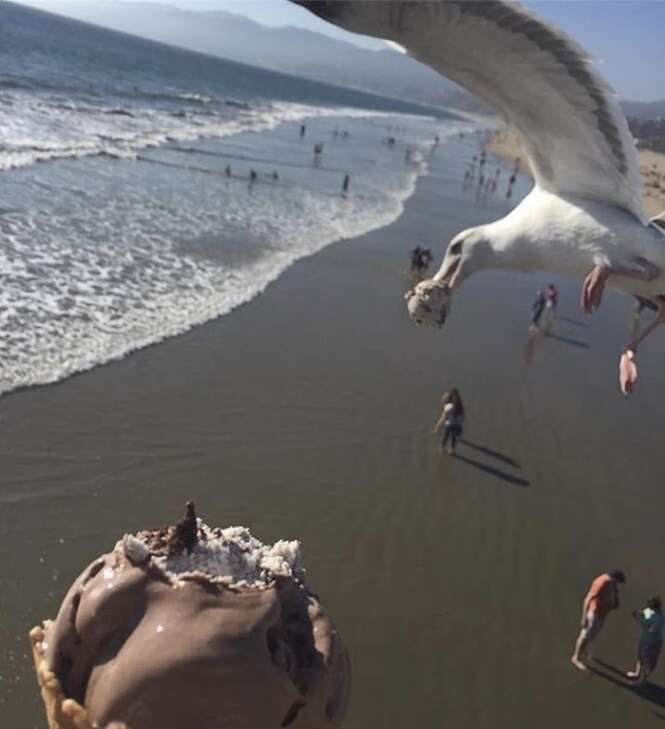 Foto: 