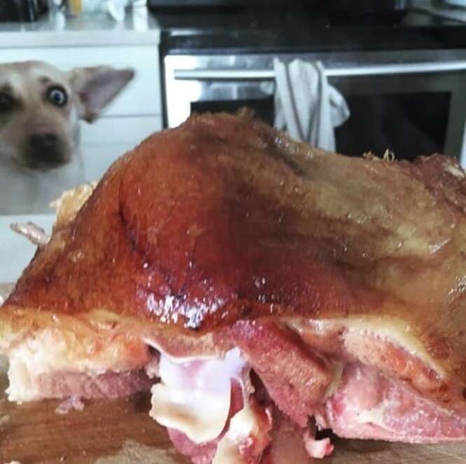 Foto: 