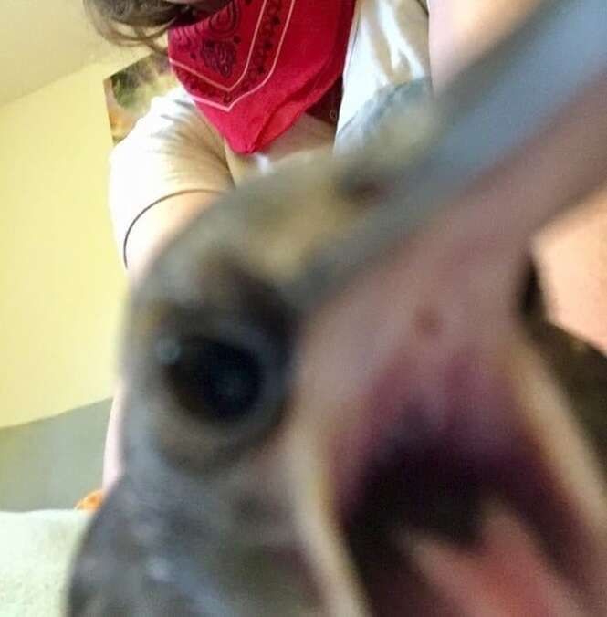 Foto: 