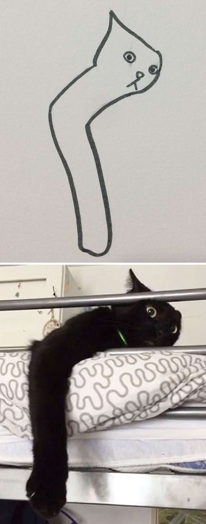 Foto: Poorly Cat Draw