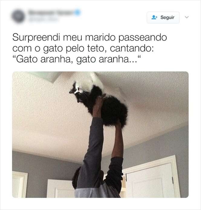 Pessoas e animais longe de terem sido fotografadas nos melhores momentos