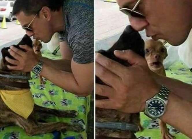 Momentos tão bons com cachorros que vão fazer você se esquecer de todos os problemas