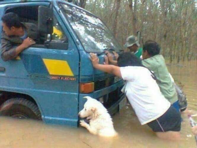 Foto: Tudo Interessante