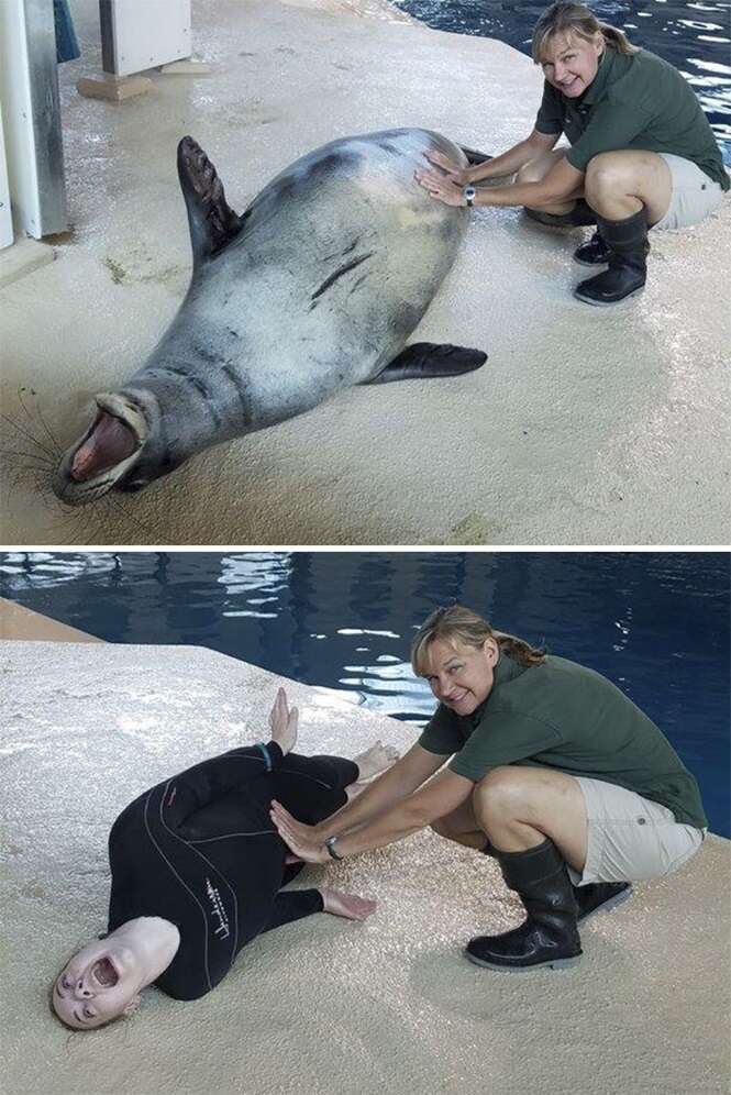 Fotos divertidas mostrando o que acontece quando funcionários de zoológico estão à toa