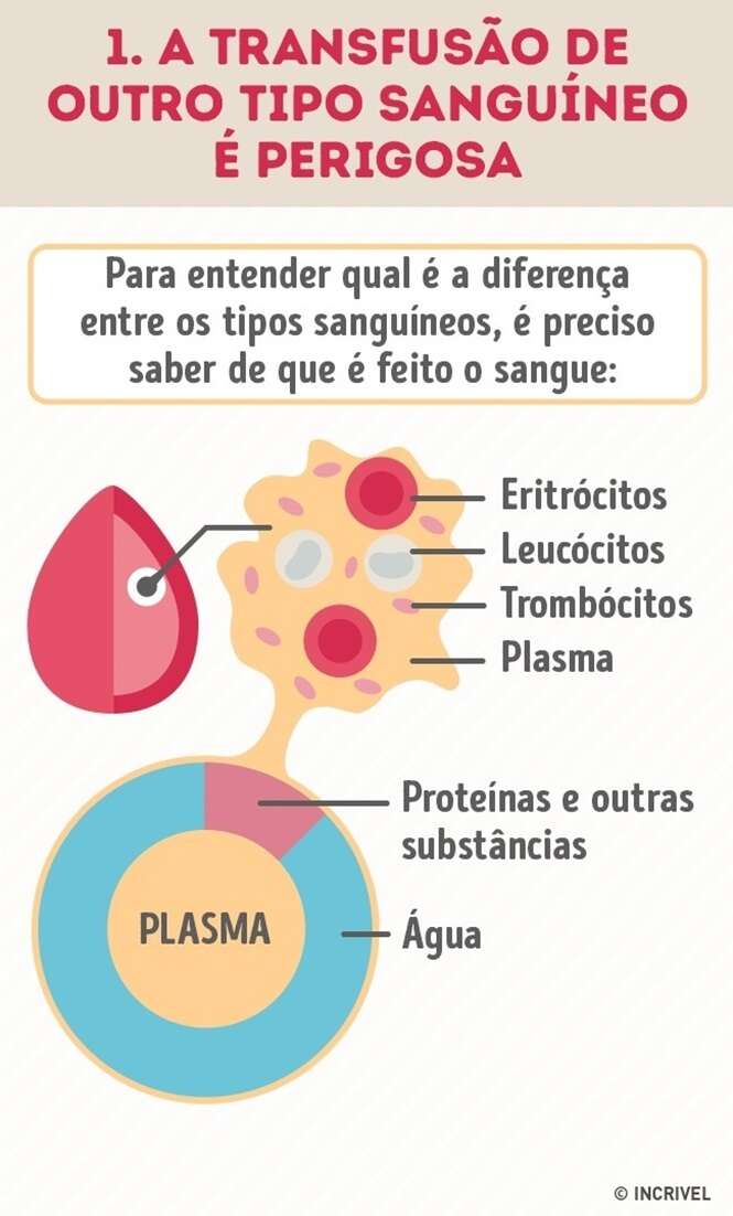 Motivos para conhecer o tipo sanguíneo de seus familiares