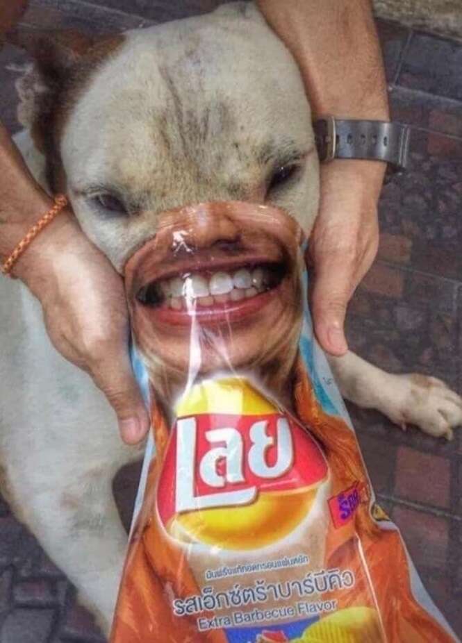Foto: Tudo Interessante