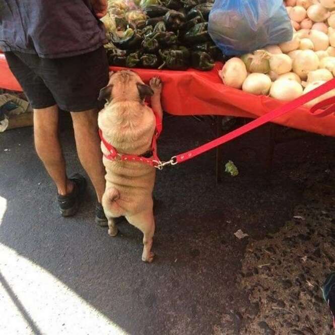 Foto: Tudo Interessante