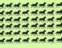 Você é capaz de achar em apenas 30 segundos os 6 cavalos diferentes dos demais?