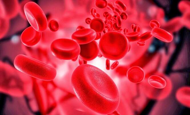 Aprenda a identificar a anemia