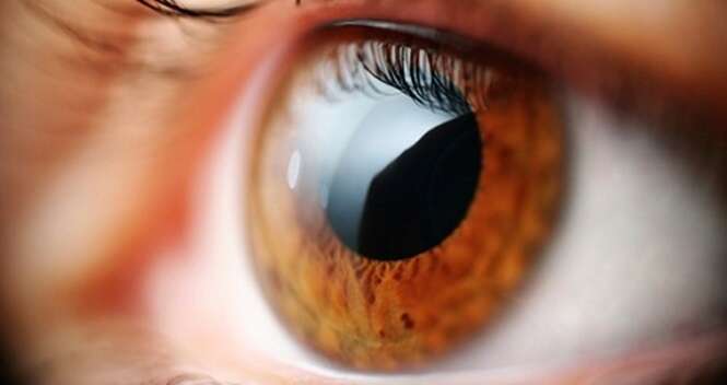 O melhor tratamento natural para recuperar a visão e proteger os olhos de doenças, segundo a ciência