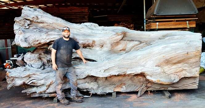 Artista transforma madeira em incrível escultura de polvo