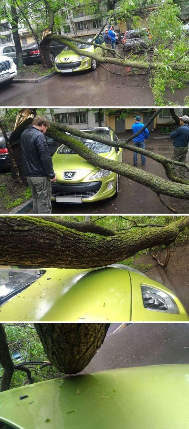 Foto: Tudo Interessante 