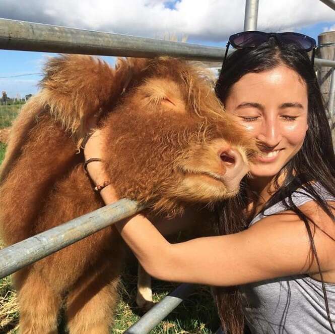 Foto: RecreoViral