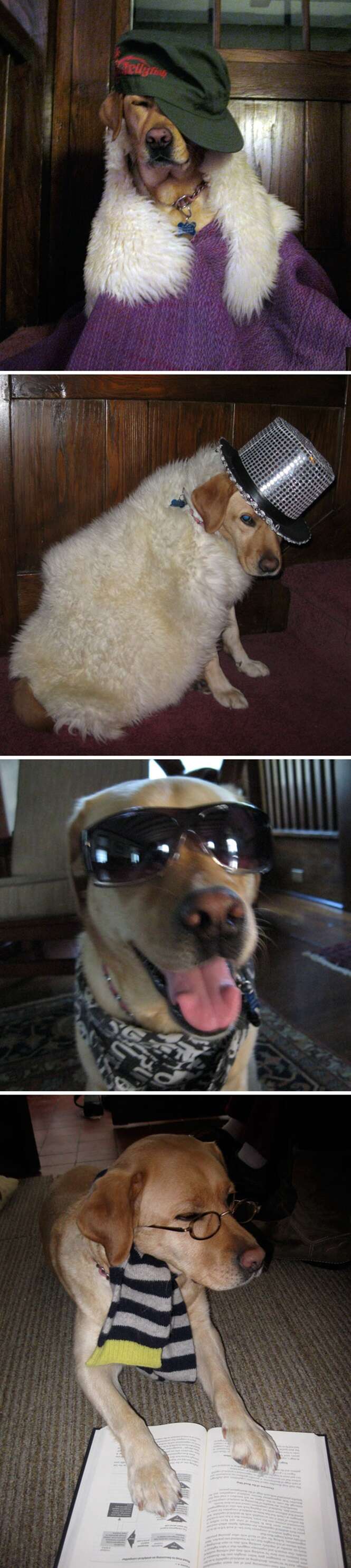 Foto: 