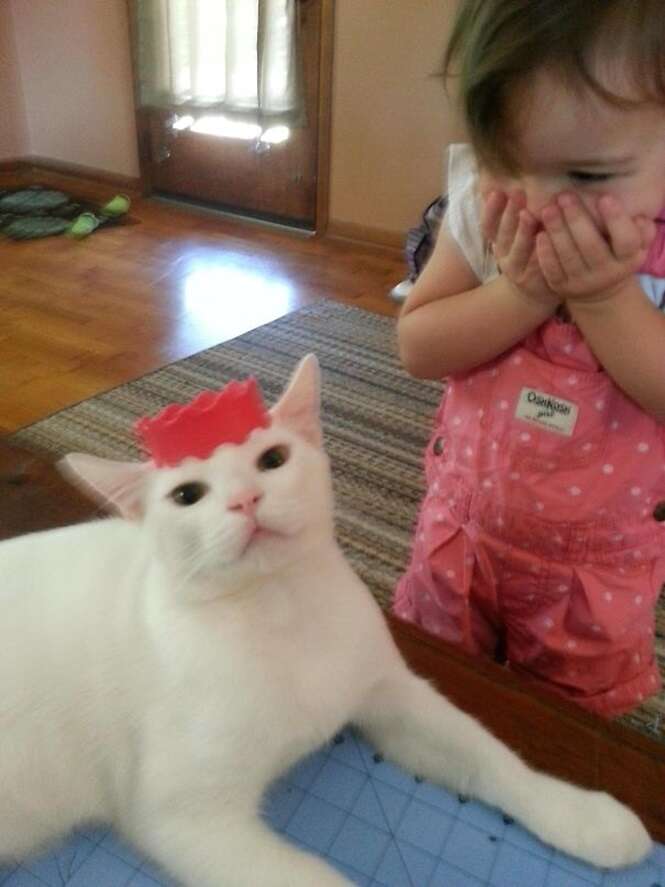 Foto: 
