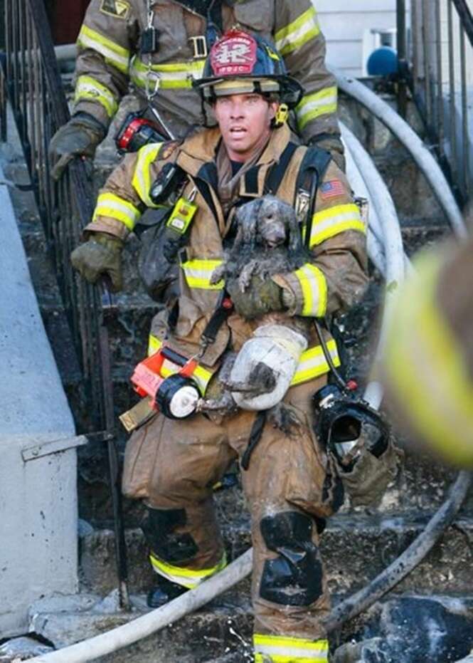 Bombeiros valentes que sabem bem o valor de uma vida