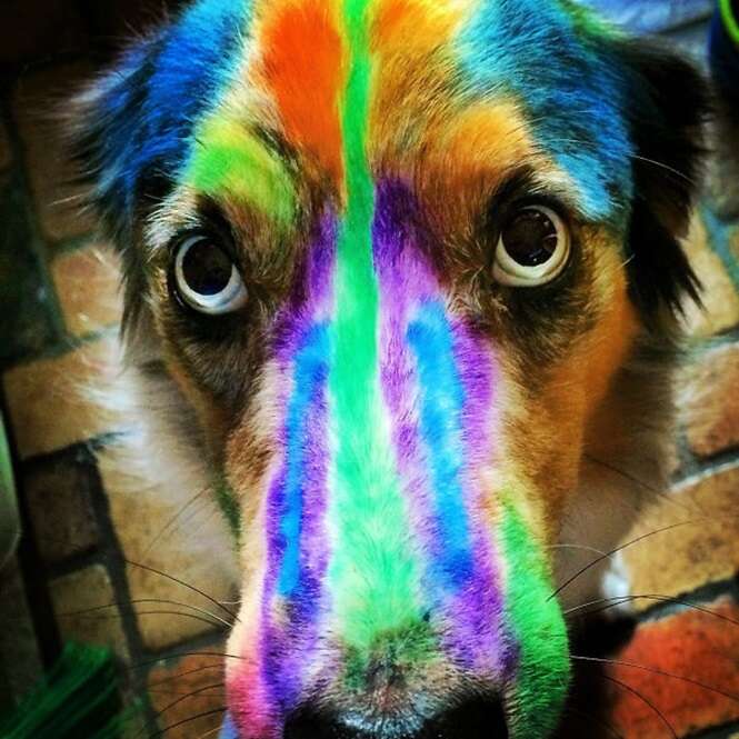 Foto: 