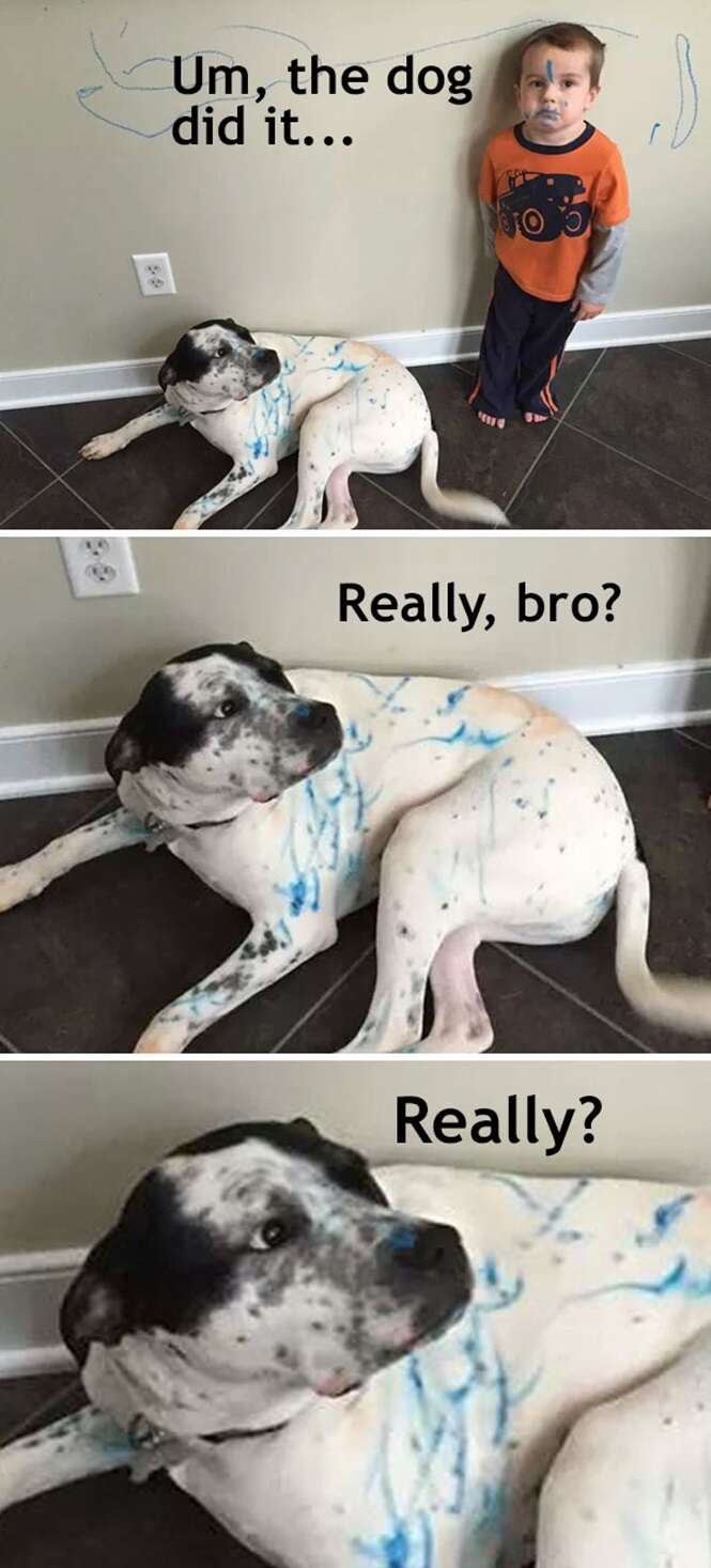 Foto: 