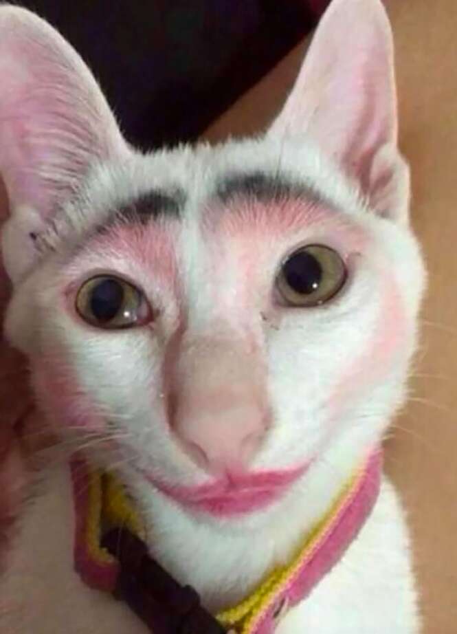 Foto: 