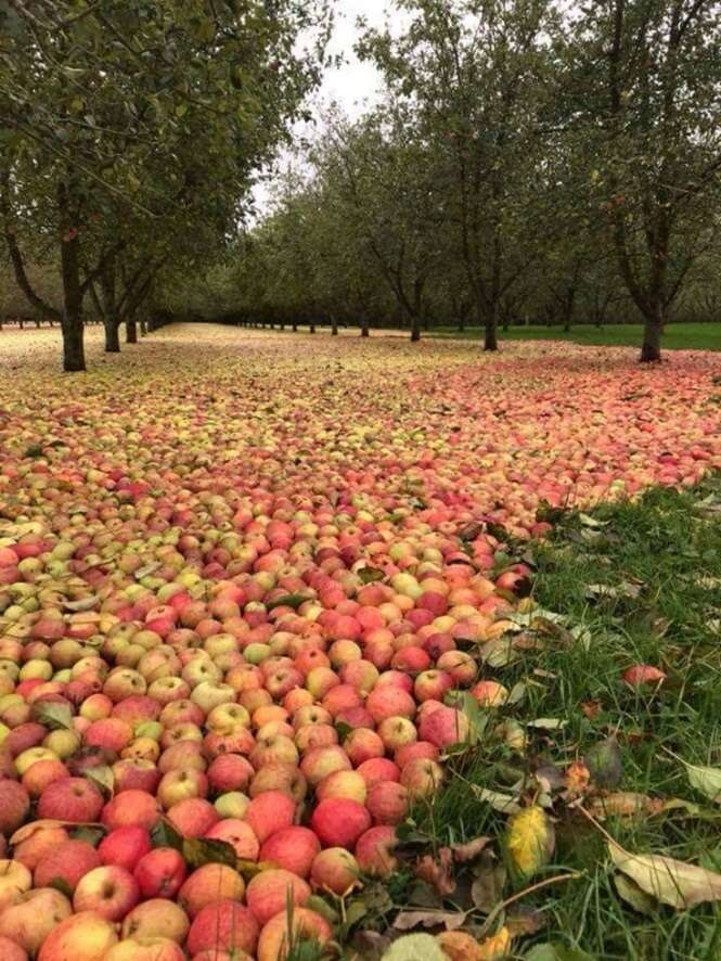 Imagens mostrando o poder que a natureza tem