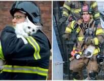 12 animais que serão agradecidos aos bombeiros para sempre