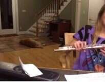 Vídeo hilário mostra cachorro louco para dormir “resmungando” de sua dona ficar tocando flauta