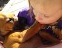 A coisa mais adorável que você verá hoje é esta menininha cantando para este cachorrinho dormir