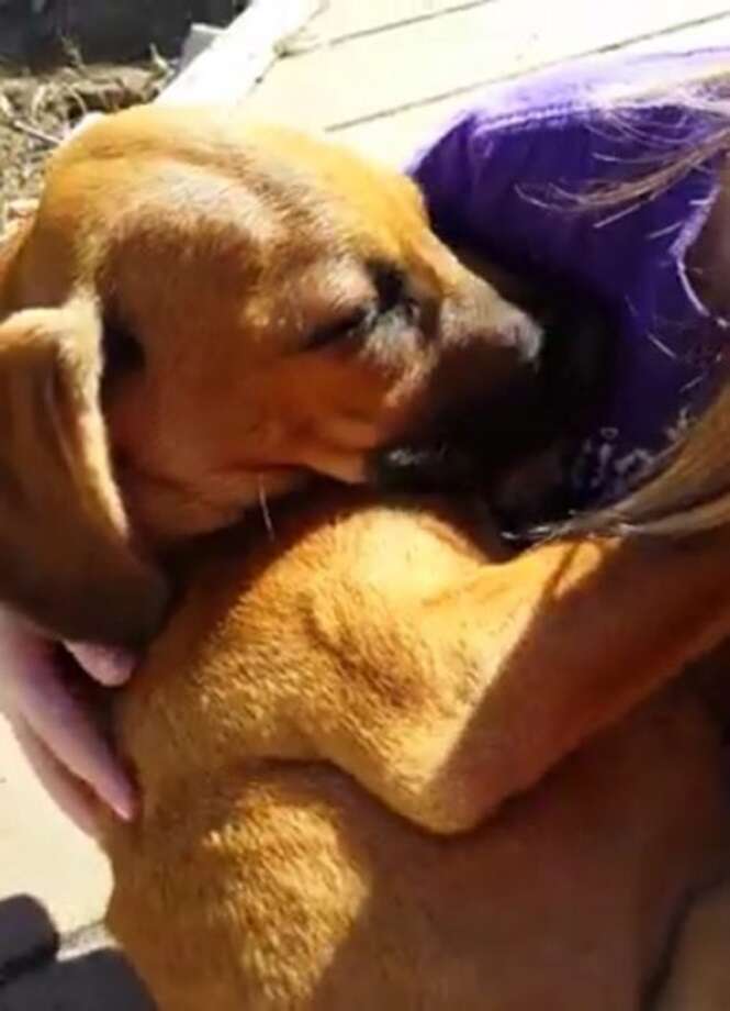 A coisa mais adorável que você verá hoje é esta menininha cantando para este cachorrinho dormir