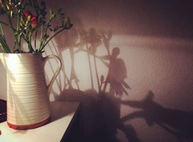 Sombras que mostram coisas totalmente diferentes da realidade