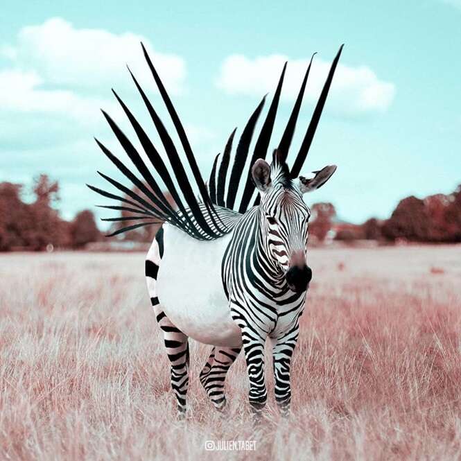 Artista usa Photoshop de maneira singular para criar incríveis animais
