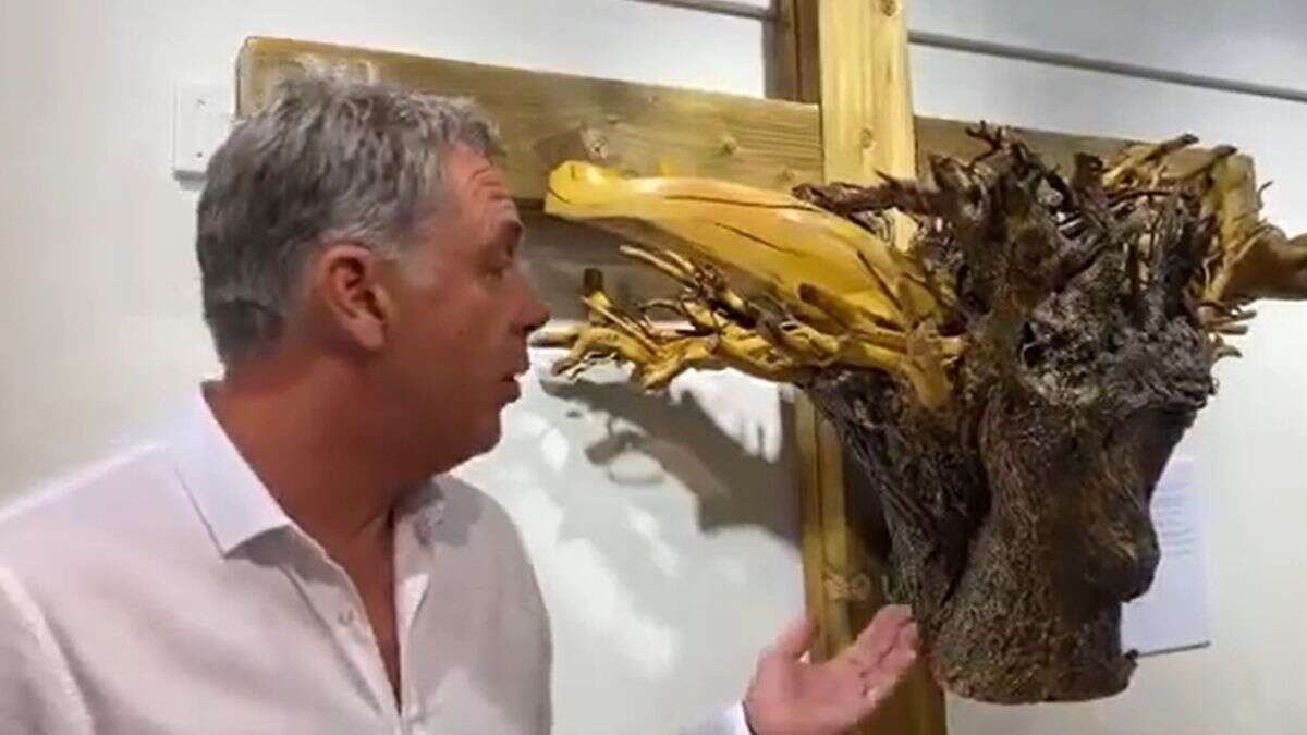 Artista fica em choque ao encontrar rosto de Jesus em escultura de árvore crucificada