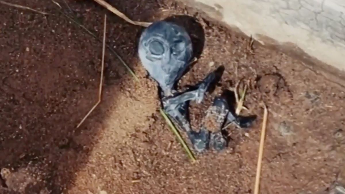 Moradores encontram suposto cadáver de bebê alienígena na Bolívia