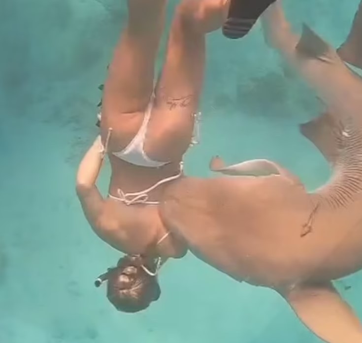 Vídeo chocante flagra momento em que tubarão ataca enfermeira nas Maldivas