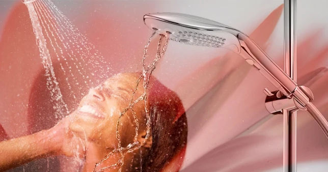 Primeiro chuveiro projetado para o prazer sexual está prestes a chegar ao mercado