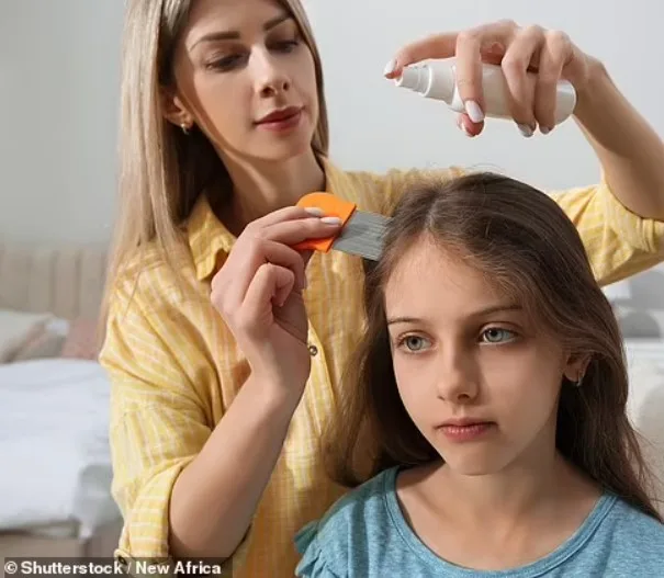 Mãe vegana se recusa tirar lêndeas da cabeça da filha de 7 anos porque não quer matar seres vivos
