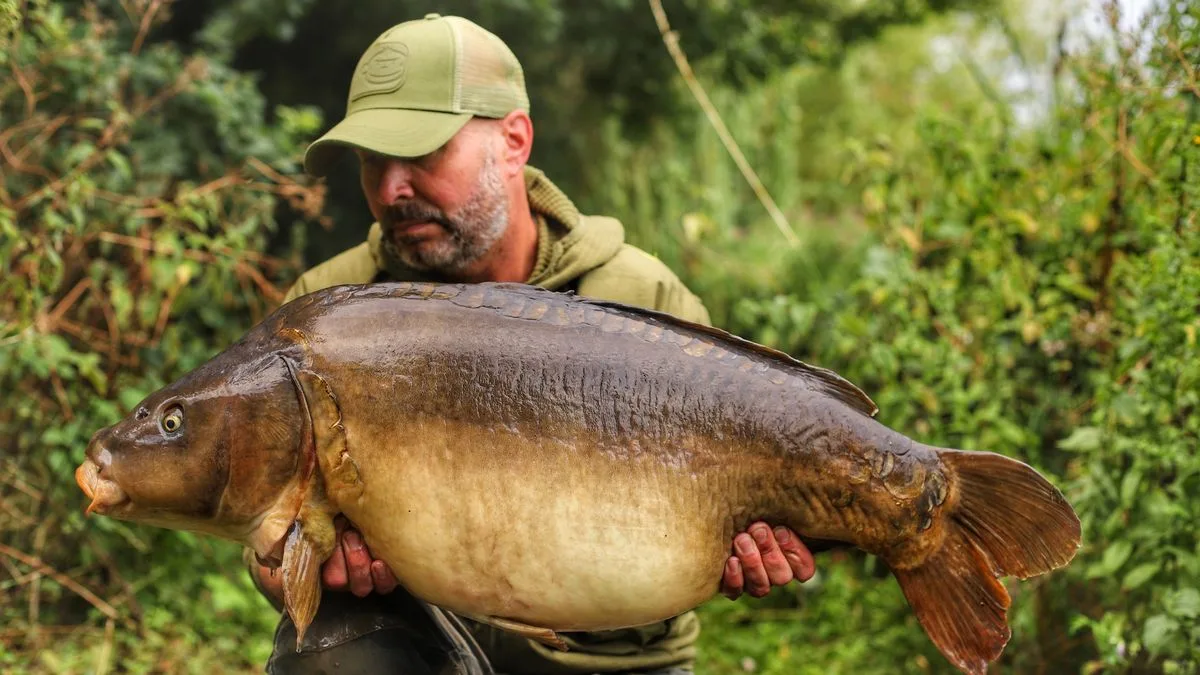 Pescador pega o mesmo peixe que fisgou há mais de 30 anos depois de devolvê-lo as águas