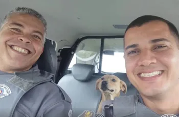 Policiais adotam vira-lata caramelo que vivia nas ruas de Aparecida, SP