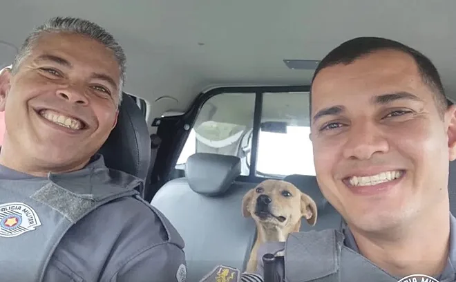 Policiais adotam vira-lata caramelo que vivia nas ruas de Aparecida, SP